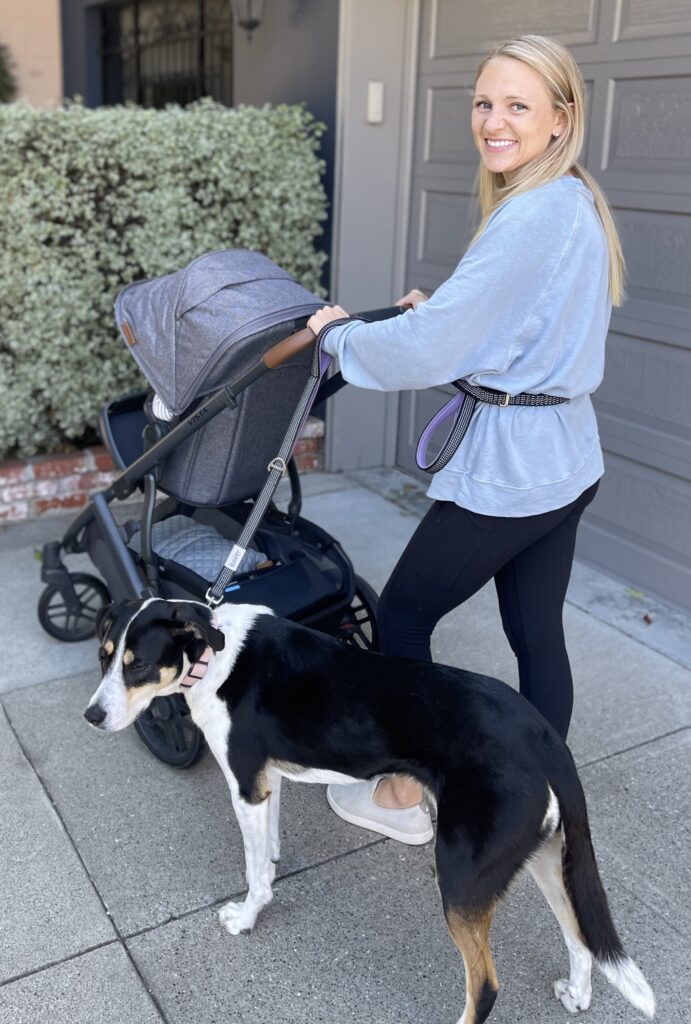 Leashrr was specifically designed to solve some of the challenges of dog walking while pregnant and dog walking with a stroller.