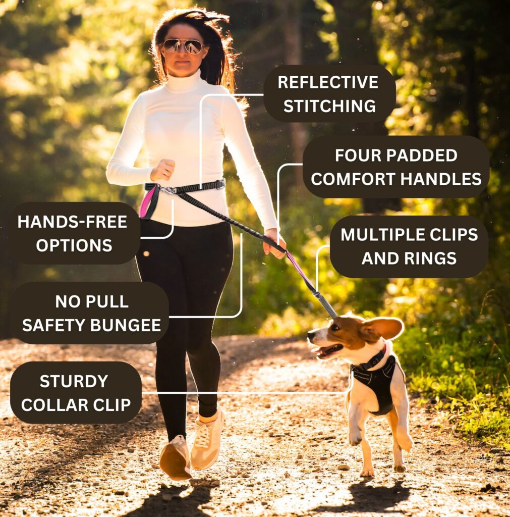 The features of Leashrr 2.0 that make running with your dog safe and comfortable.