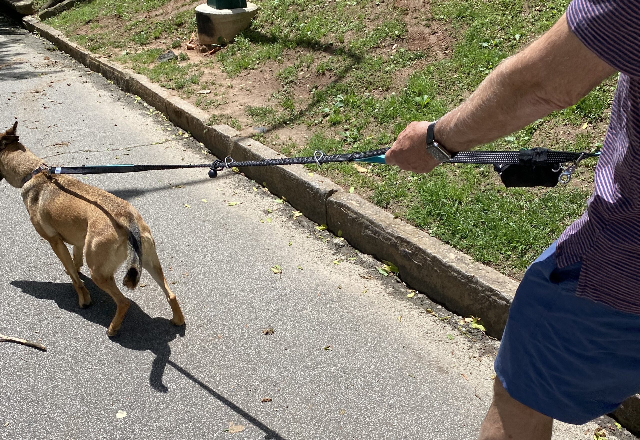 A Bungee Leash Helps Prevent Falls and Injuries