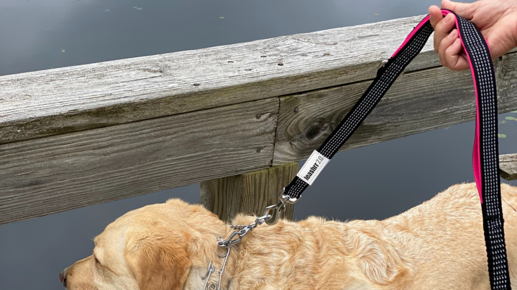 For large dog owners, a dual-handle dog leash can make all the difference in ensuring safe, controlled walks and effective training.