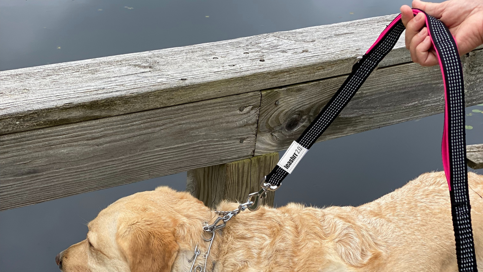 For large dog owners, a dual-handle dog leash can make all the difference in ensuring safe, controlled walks and effective training.