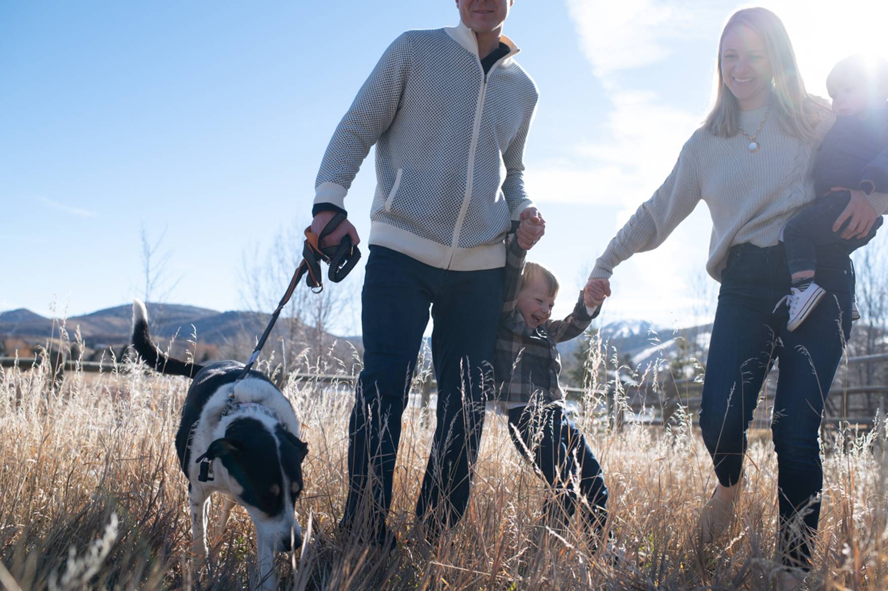 Dog on a mindful walk with owner using modern leash, representing dog walking trends 2026 focused on enrichment and wellness.