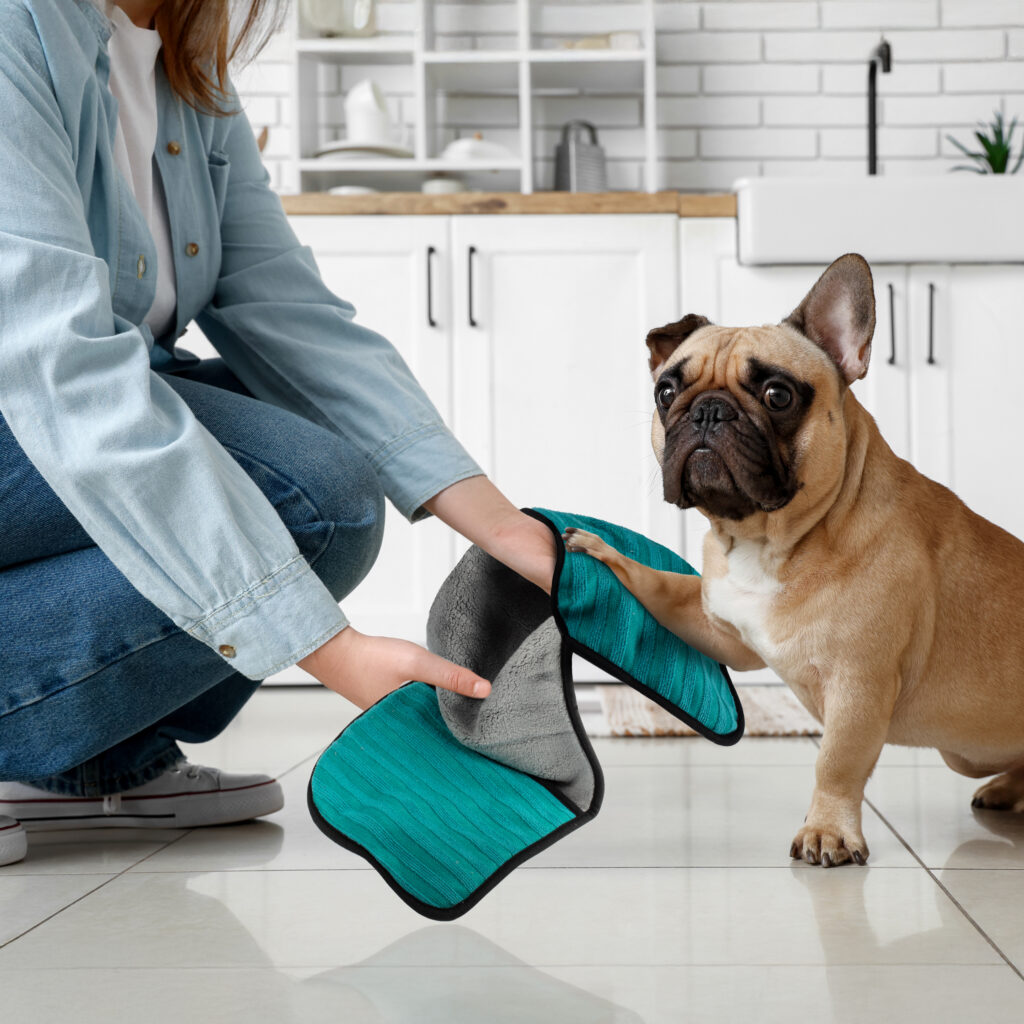 Woman cleaning Frenchie's paws with Inside Paws dog paw cleaning towel